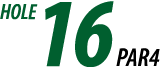 Hole No.16 PAR4